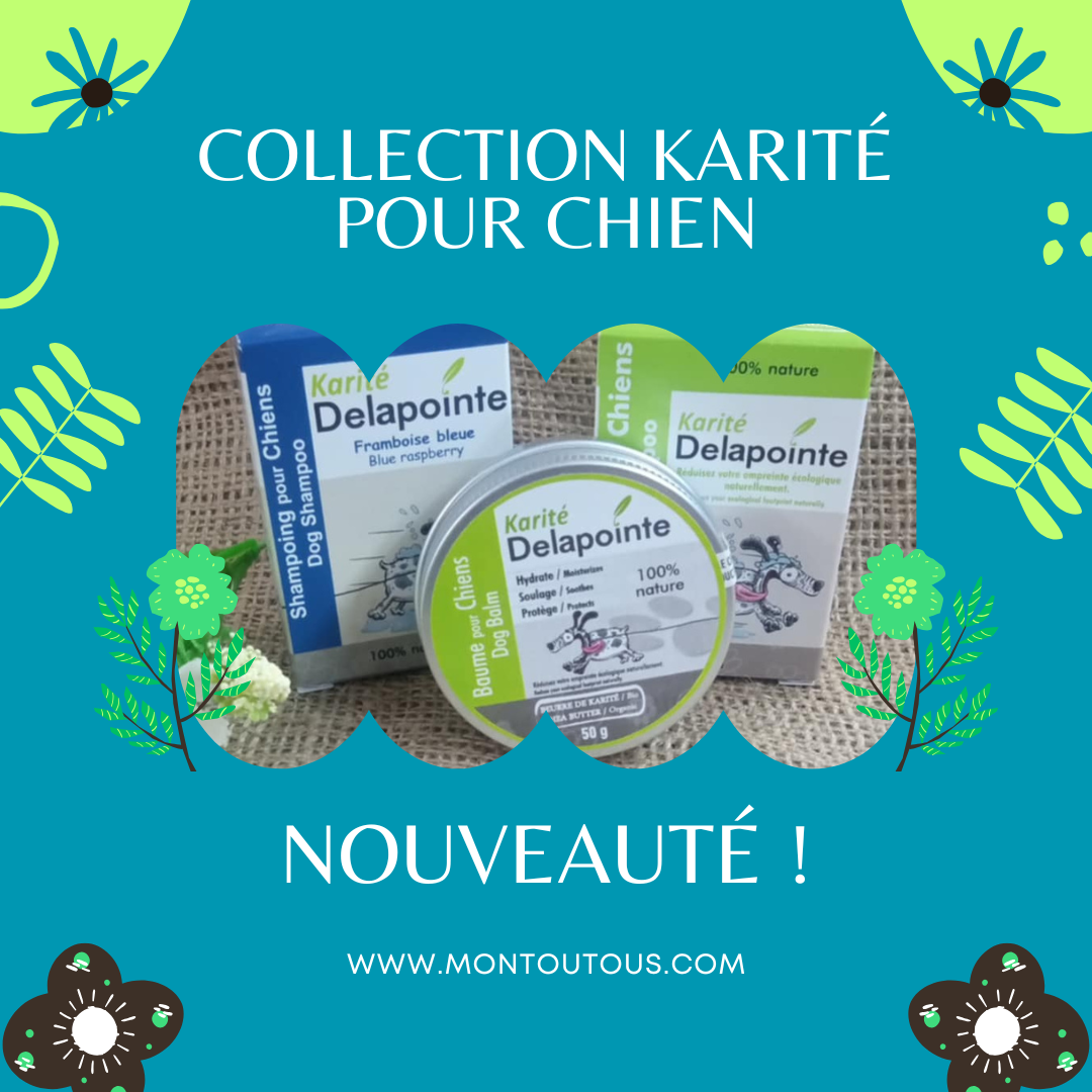 Ensemble Shampoing & Baume Karité – Soin Hydratant et Protecteur pour Chiens