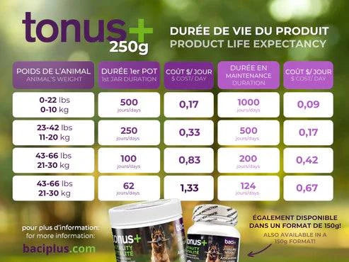 Tonus+ – Soutien Articulaire & Vitalité pour Chiens Actifs - Montoutous
