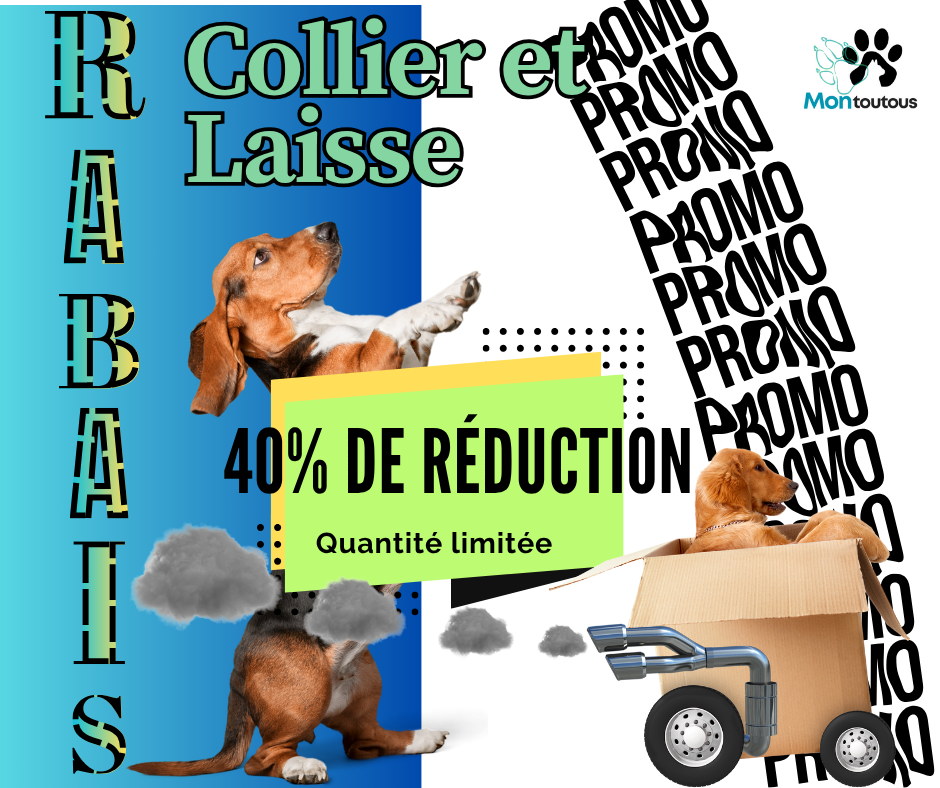 Solde prêt à partir