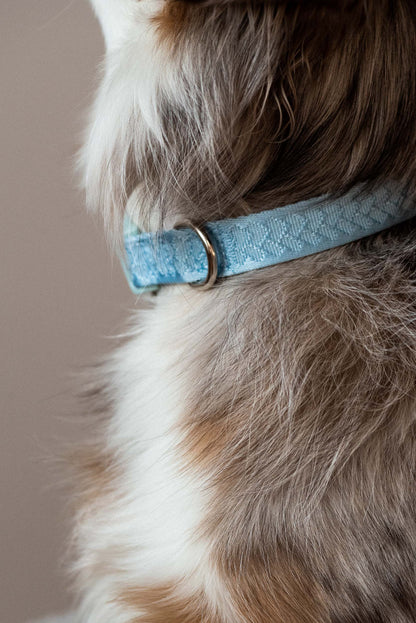 Ensemble Cloud – Harnais, Collier et Laisse pour Chien