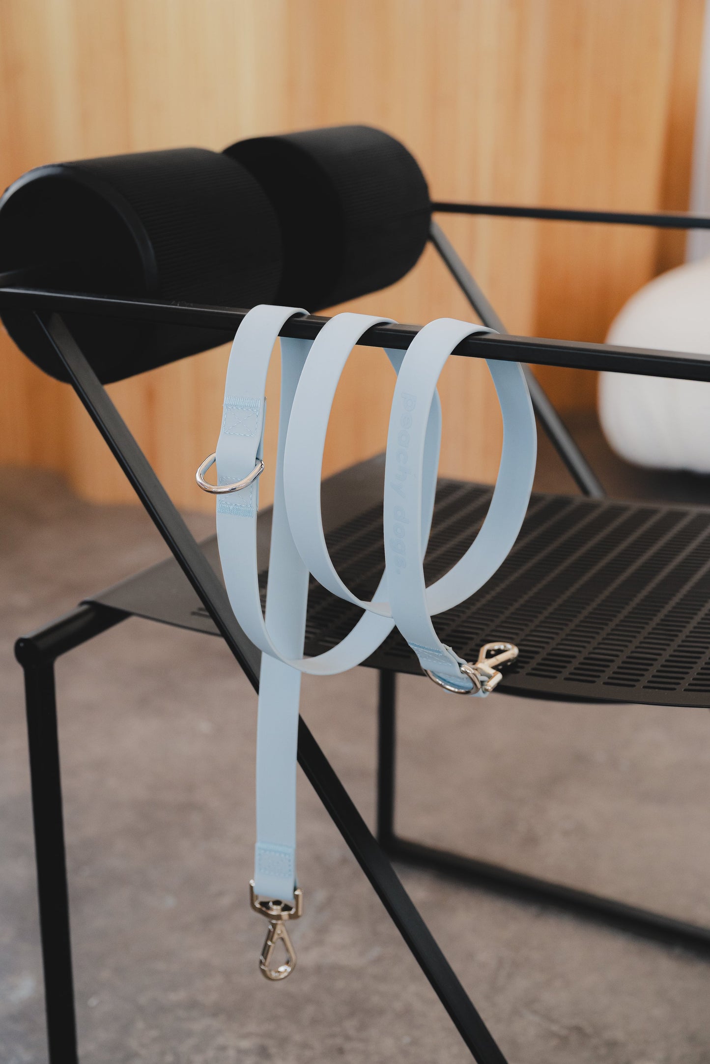 Ensemble Cloud – Harnais, Collier et Laisse pour Chien