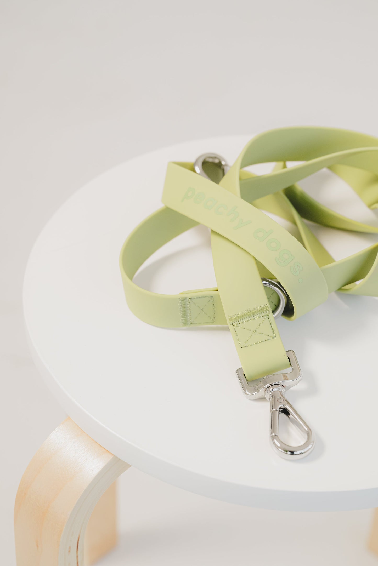 Ensemble Matcha – Harnais, Collier et Laisse pour Chien