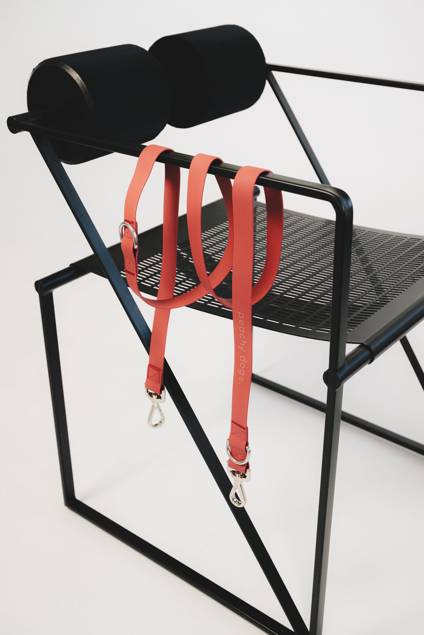 Ensemble Chestnut – Harnais et Laisse pour Chien