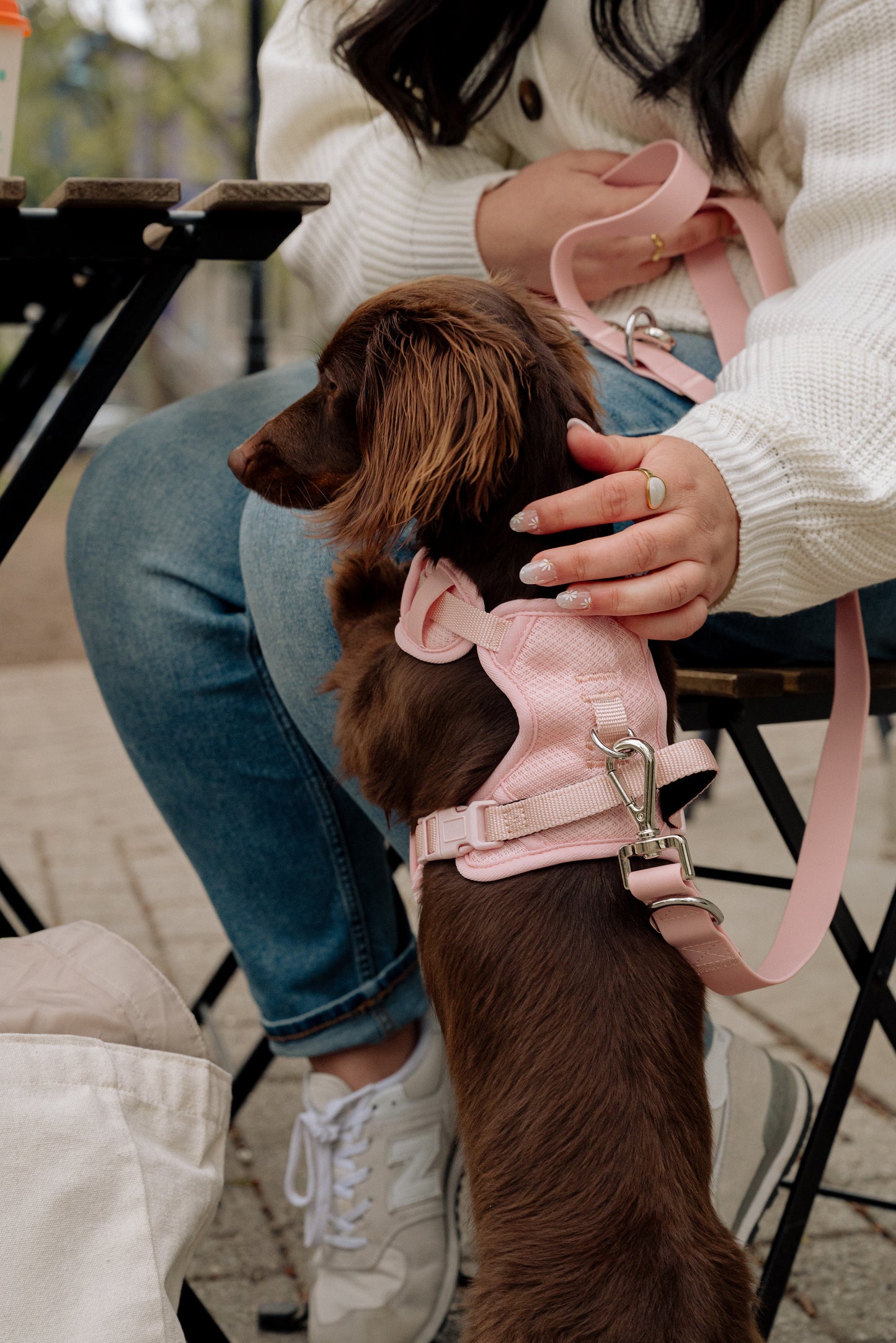 Ensemble Lychee – Harnais, Collier et Laisse pour Chien