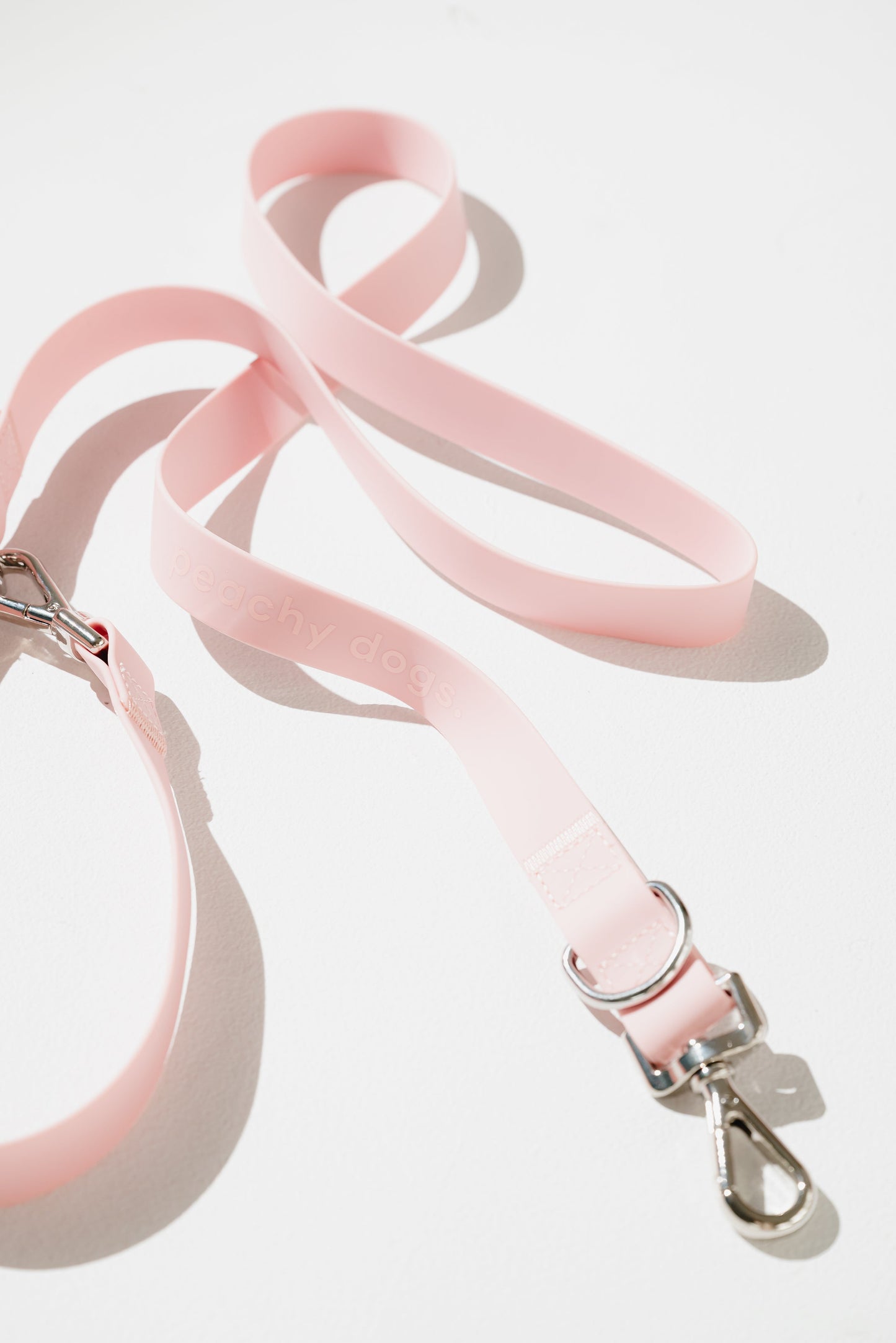 Ensemble Lychee – Harnais, Collier et Laisse pour Chien