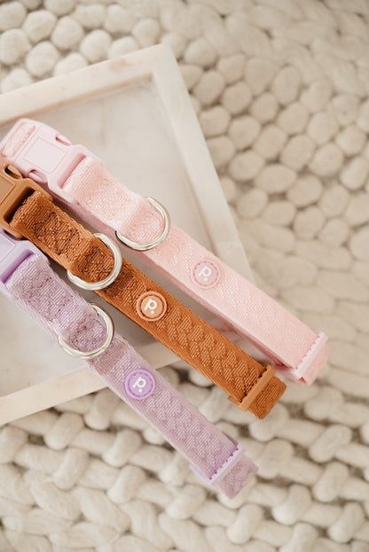 Ensemble Lilas – Harnais, Collier et Laisse pour Chien