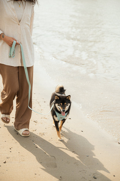 Ensemble Breeze – Harnais, Collier et Laisse pour Chien