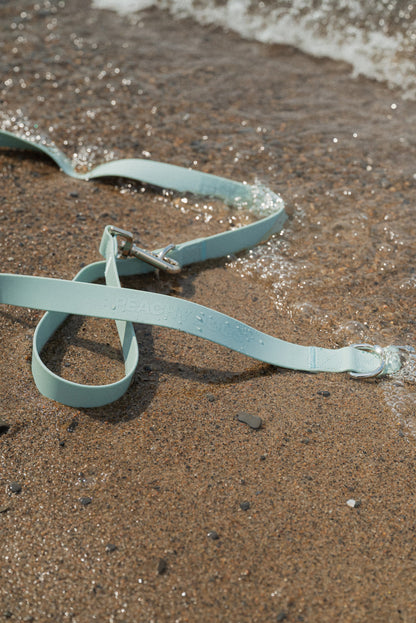 Ensemble Breeze – Harnais, Collier et Laisse pour Chien