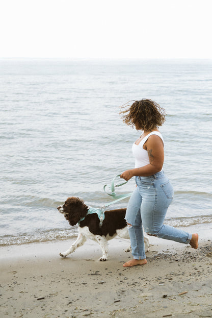 Ensemble Breeze – Harnais, Collier et Laisse pour Chien