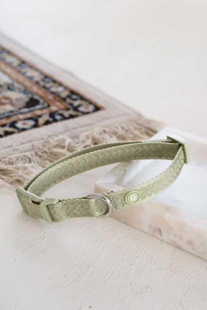 Ensemble Matcha – Harnais, Collier et Laisse pour Chien