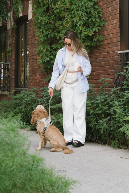 Ensemble Harnais, Collier et Laisse Main-Libre - Affogato