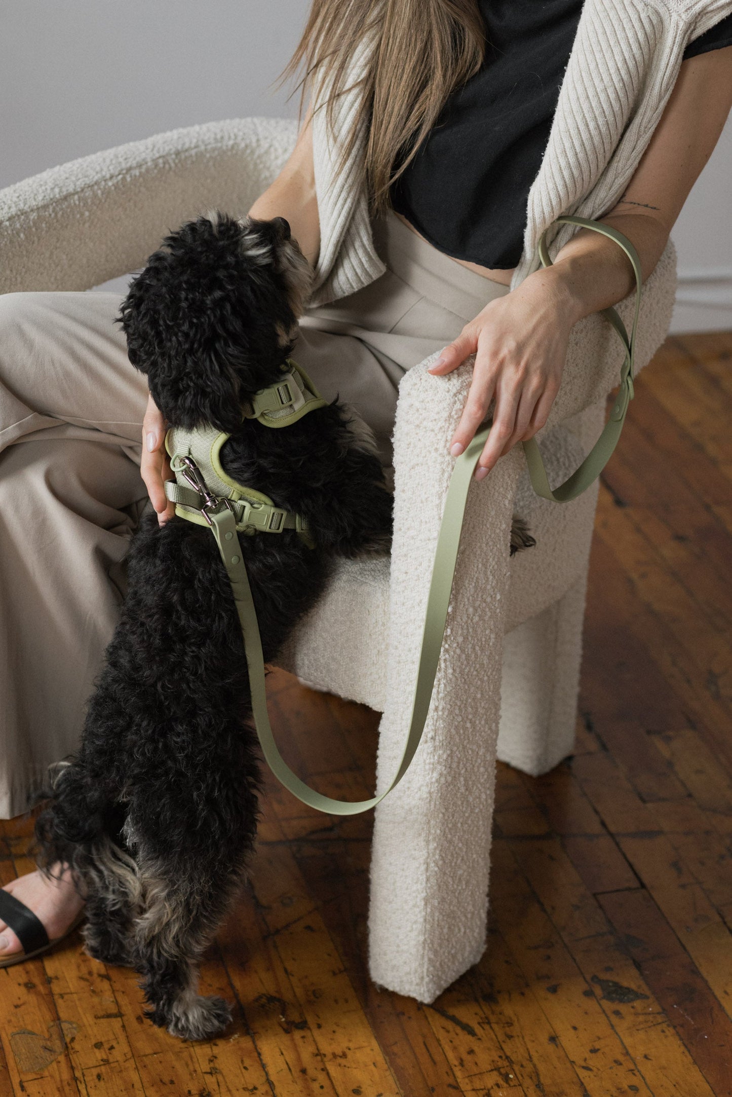 Ensemble Matcha – Harnais, Collier et Laisse pour Chien