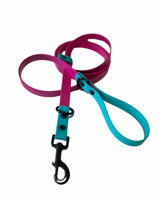 Laisse 3/4  pour Chien en Biothane – Fait Main au Québec - Montoutous 