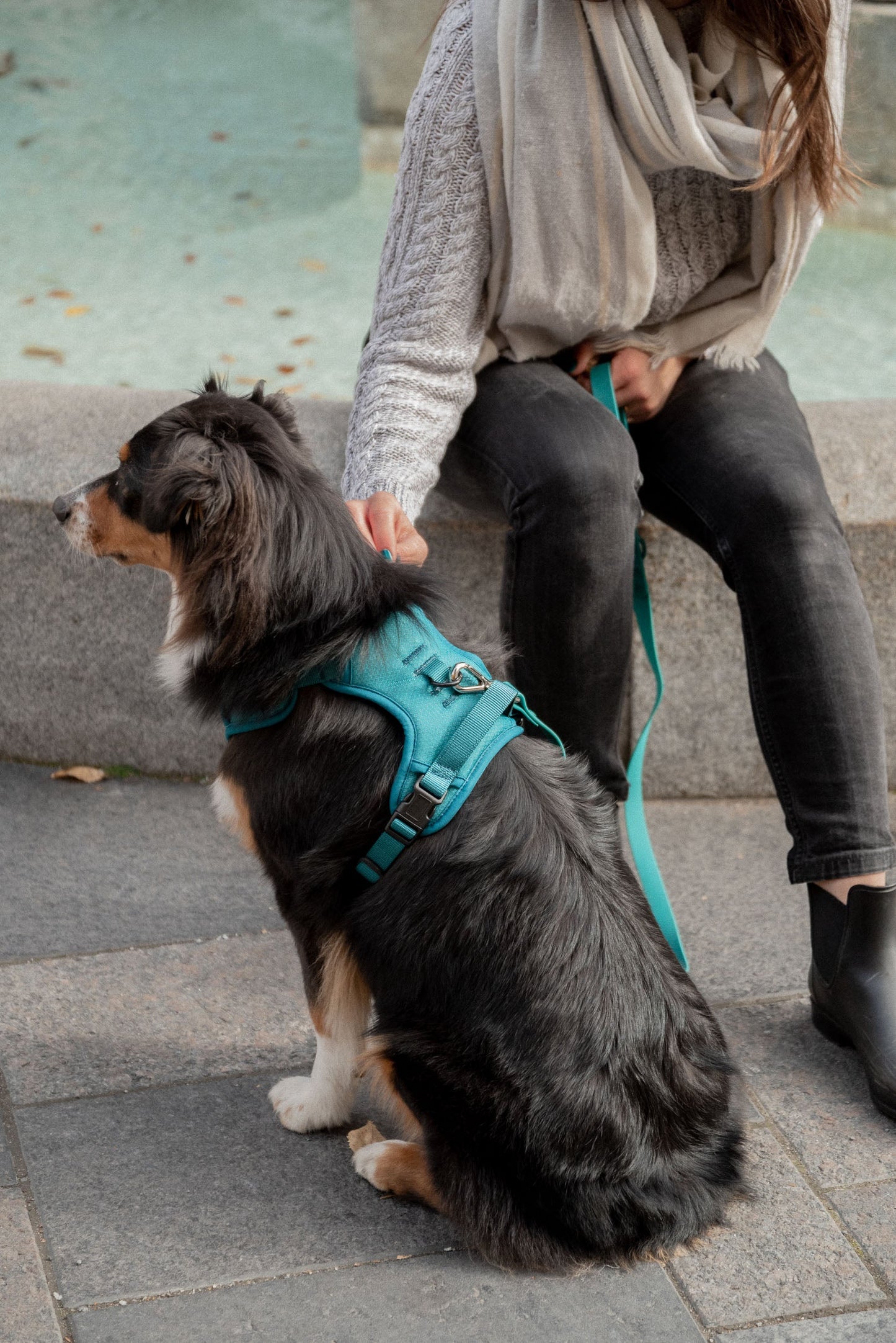 Ensemble Mojito – Harnais et Laisse pour Chien