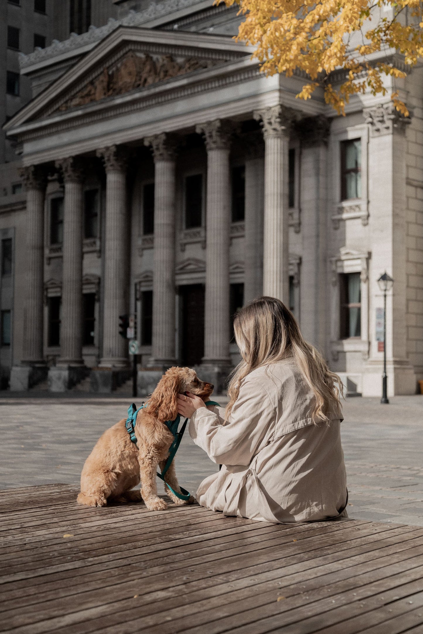 Ensemble Mojito – Harnais et Laisse pour Chien