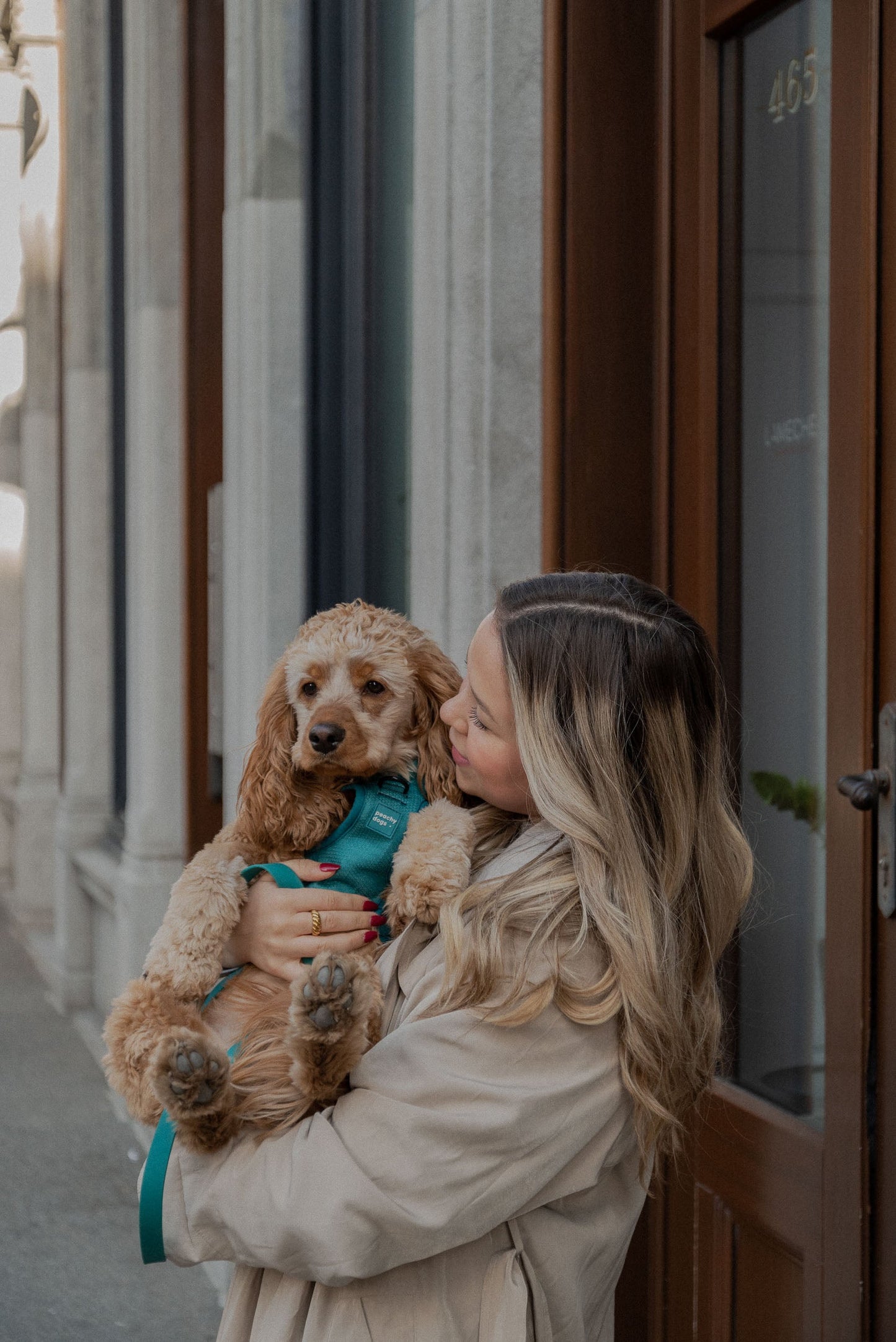 Ensemble Mojito – Harnais et Laisse pour Chien