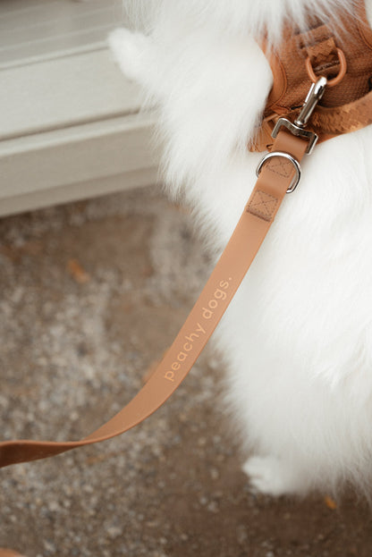 Ensemble Dulce – Harnais, Collier et Laisse pour Chien