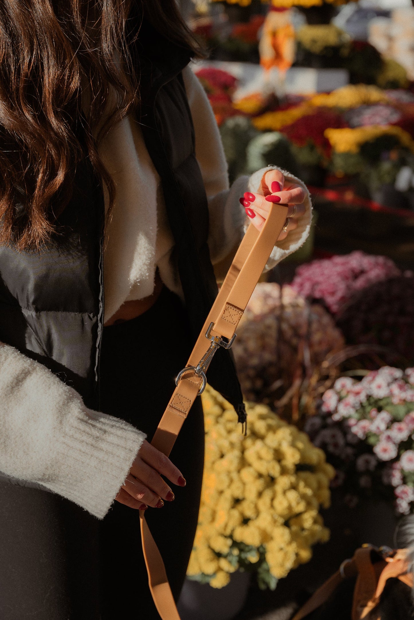 Ensemble Dulce – Harnais, Collier et Laisse pour Chien