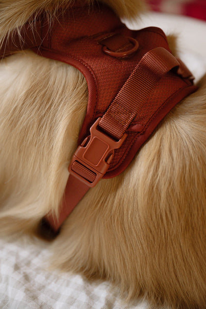 Ensemble Chestnut – Harnais et Laisse pour Chien