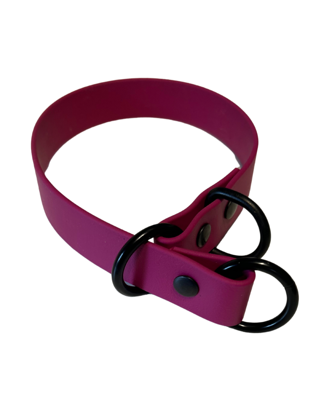 Promo Spéciale sur le Collier Slip 1" en Biothane pour Chien – Fait Main au Québec - Montoutous 