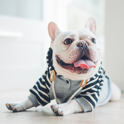 Pull à Capuche en Coton pour Chiens