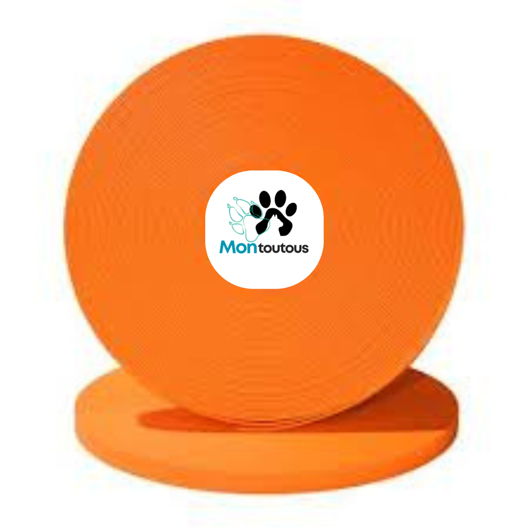 Collier 1’’ en Biothane pour chien – Attache noir- Fait Main au Québec - Montoutous 
