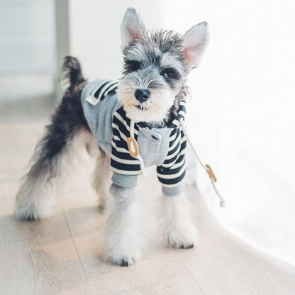 Pull à Capuche en Coton pour Chiens