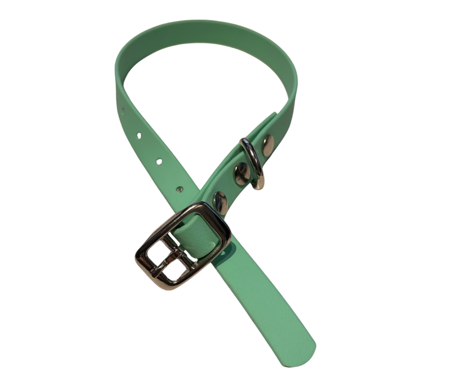 PROMO Collier en Biothane pour chat et petit chien / chiot - fait main au Québec