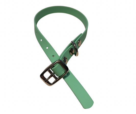 PROMO Collier en Biothane pour chat et petit chien / chiot - fait main au Québec