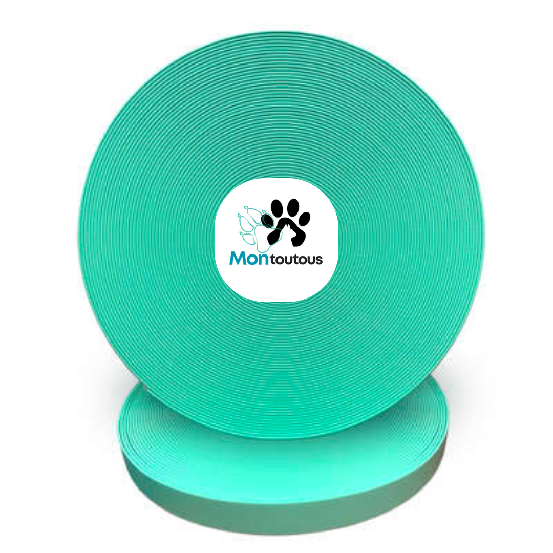Collier étrangleur 3/4 en Biothane pour chien – Attache "NICKEL"- Fait Main au Québec - Montoutous 