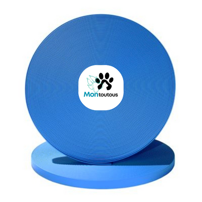 Collier 1’’ en Biothane pour chien – Attache noir- Fait Main au Québec - Montoutous 