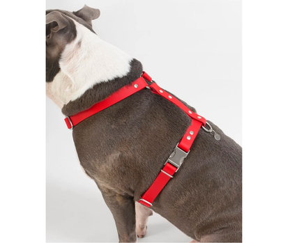 Harnais sur mesure en BioThane pour chien – Fait main au Québec