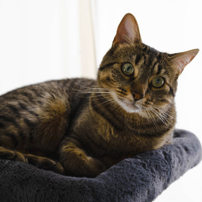 Arbre à Chat Deluxe The Hut – Aire de Jeu et Repos Haut de Gamme