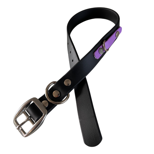 Promo Spéciale sur le Collier standard 1" en Biothane pour Chien – Fait Main au Québec - Montoutous 