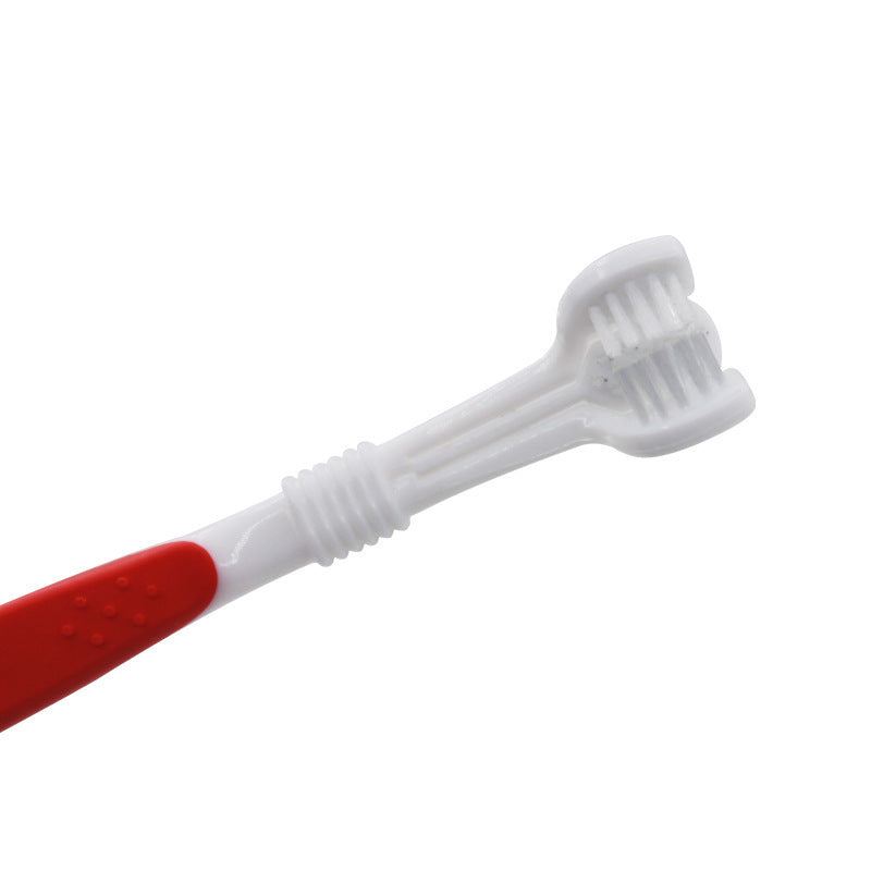 Pâte Dentifrice et Brosse à Dents pour Chiens