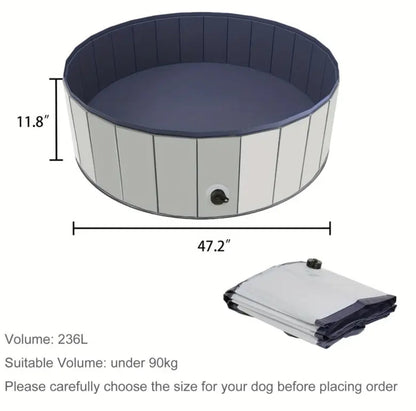 Piscine pliable pour chien