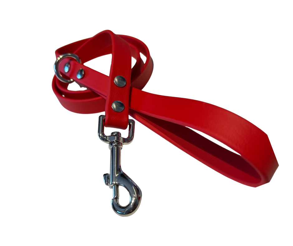 Promo sur Laisse 3/4" en Biothane 48 pouces – Résistante, Imperméable et Fabriquée au Québec