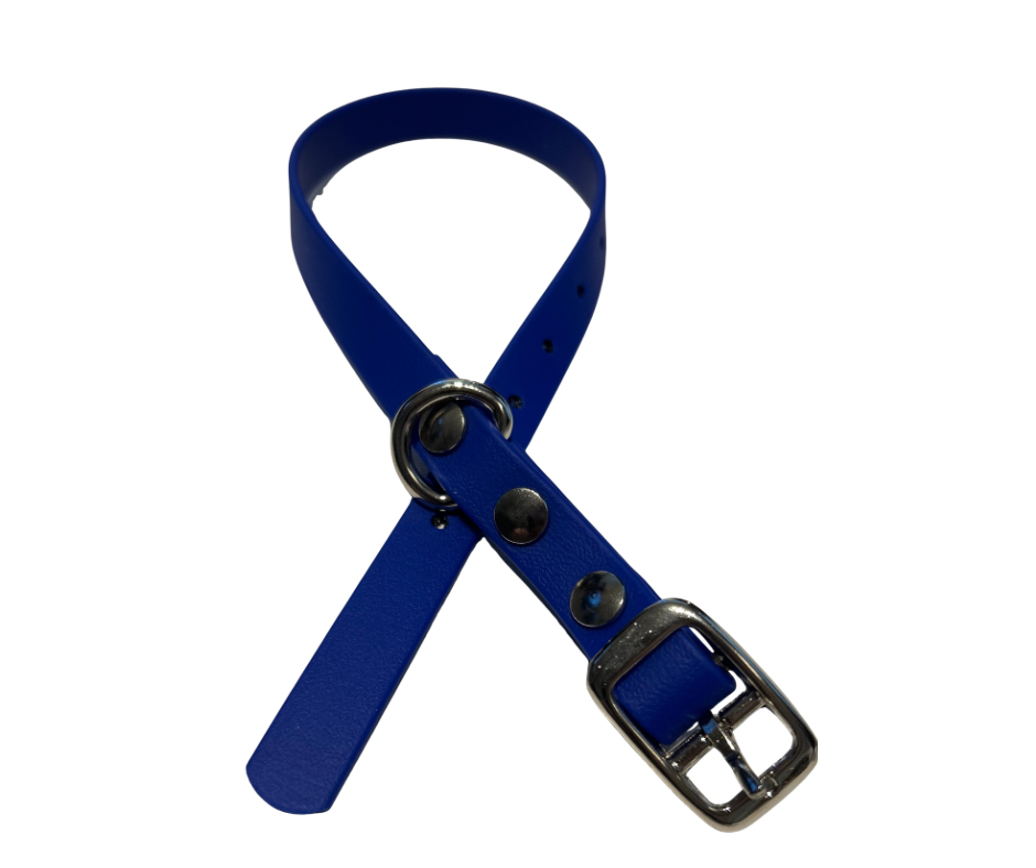 PROMO Collier en Biothane pour chat et petit chien / chiot - fait main au Québec