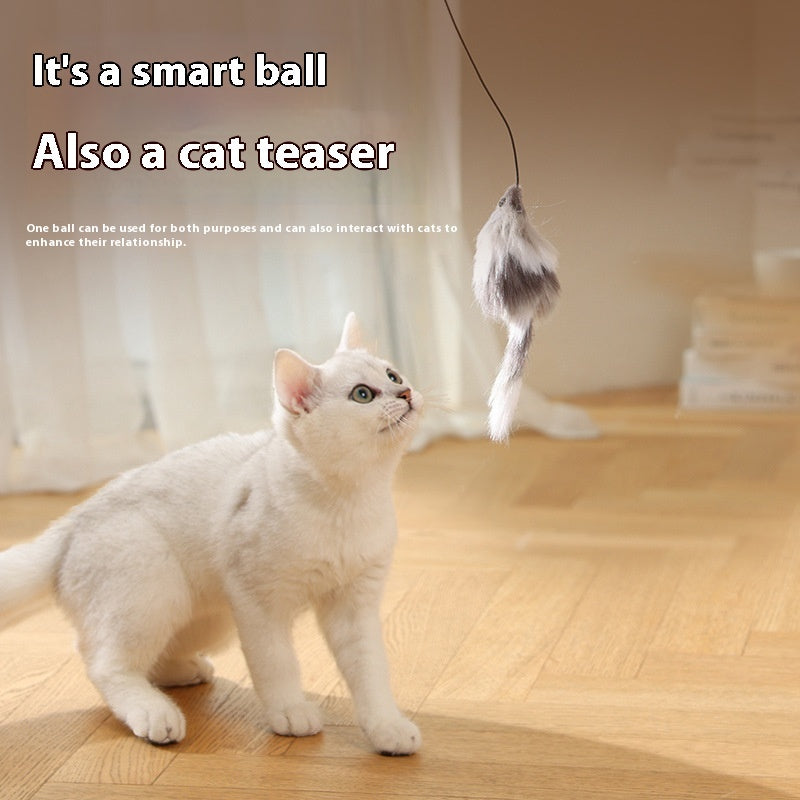 Balle Intelligente Automatique pour Chats et Chiens