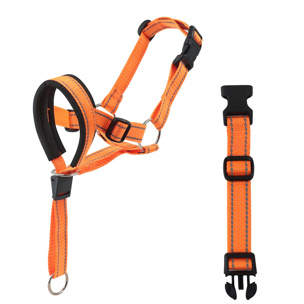 Harnais Halter pour chiens