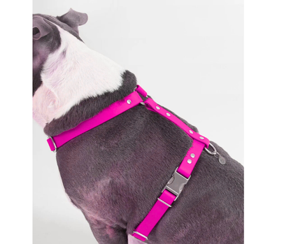 Harnais sur mesure en BioThane pour chien – Fait main au Québec