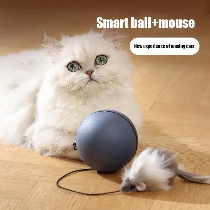 Balle Intelligente Automatique pour Chats et Chiens