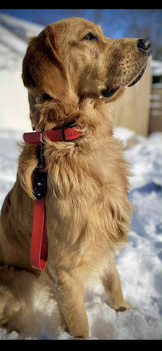Poignée de rapprochement en BioThane pour chien – Fait main au Québec