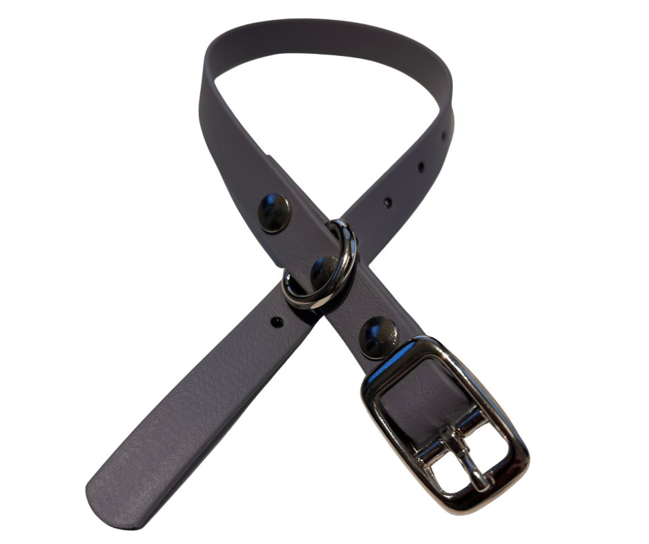 PROMO Collier en Biothane pour chat et petit chien / chiot - fait main au Québec