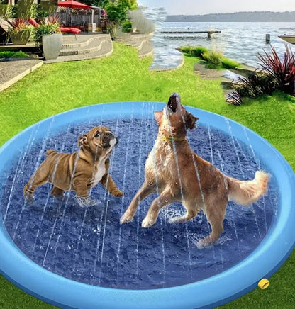 Piscine extérieure pour chien – Rafraîchissement et jeux d’eau