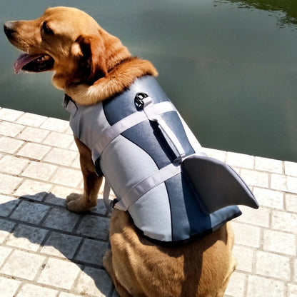 Veste de sauvetage requin pour chien – Sécurité et style audacieux