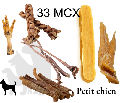 Boite Mastics 33 mcx- Petit chien