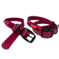 Promo Collier 1’’ en Biothane – Élégance, Résistance et Confort pour Chien