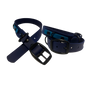 Promo Collier 1’’ en Biothane – Élégance, Résistance et Confort pour Chien