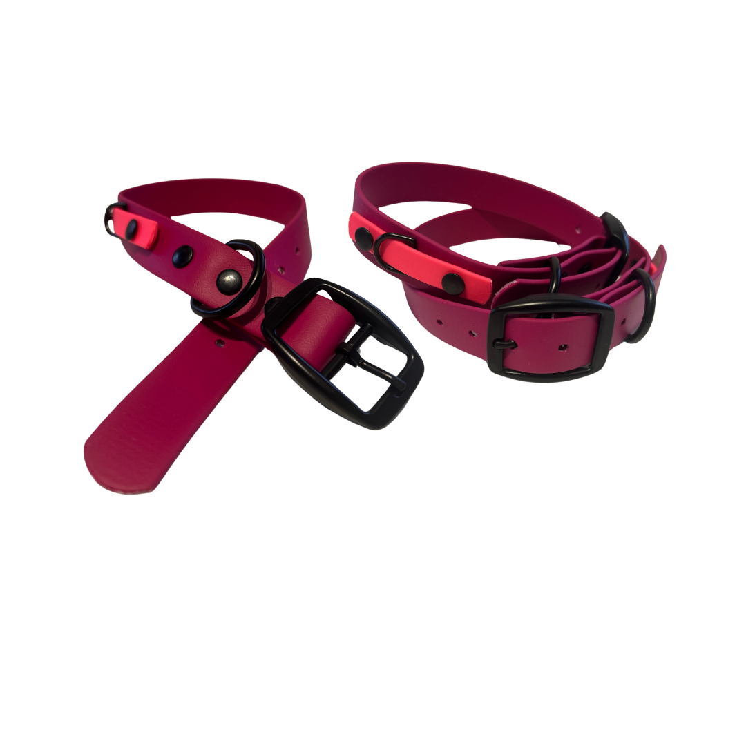 Collier 3/4’’ en Biothane pour chien – Attache noir- Fait Main au Québec - Montoutous 